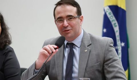 Projeto torna obrigatória criação de banheiros para cães e gatos em novos aeroportos