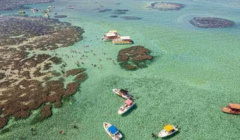 Irmãos de 11 e 16 anos morrem afogados em praia de Maragogi, em Alagoas