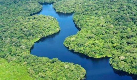 Expedição vai checar se o Rio Amazonas é o mais extenso do mundo