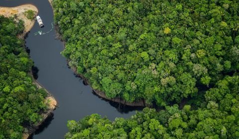 Amazonas é o melhor lugar do mundo para o ecoturismo, aponta a revista americana Forbes