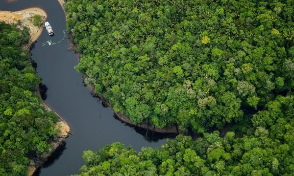 Amazonas é o melhor lugar do mundo para o ecoturismo, aponta a revista americana Forbes