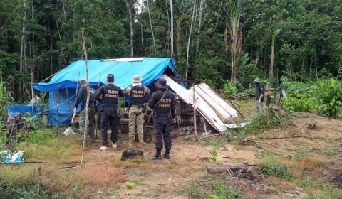 Operação Ya-Mirim: PF em ação conjunta combate crimes ambientais no AM