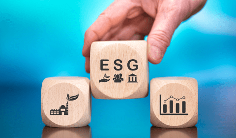 Regulamentação do ESG impulsiona transformação no setor empresarial