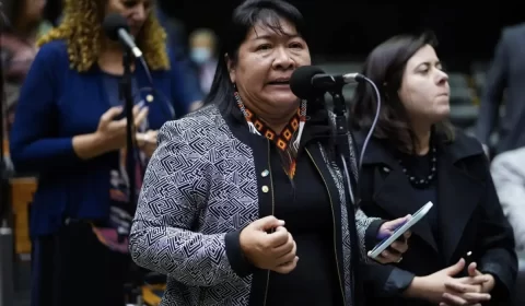 Joenia Wapichana quer suceder Rosa Weber no STF