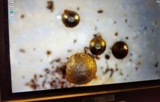 Avi Loeb diz que 'esferas alienígenas' são de origem interestelar