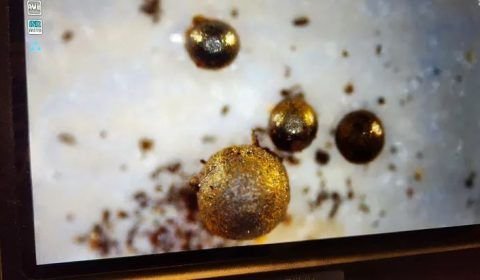 Avi Loeb diz que 'esferas alienígenas' são de origem interestelar