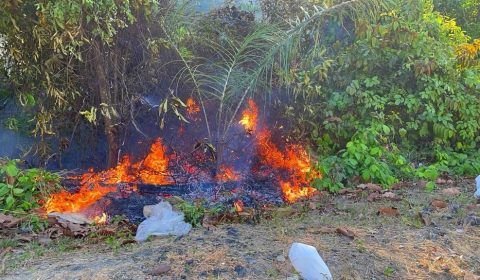 Corpo de Bombeiros combate 23 incêndios em áreas de vegetação na capital, nas últimas 48 horas