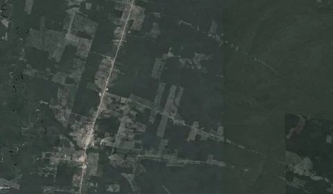 BR 319 já gerou 5 mil km de ramais em quatro municípios do Amazonas