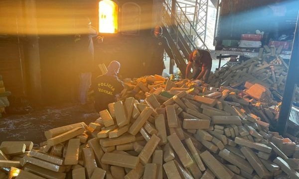 PF incinera cerca de 23 toneladas de maconha