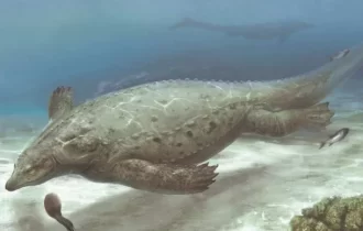 Descoberta de antigo lagarto marinho reescreve história dos répteis