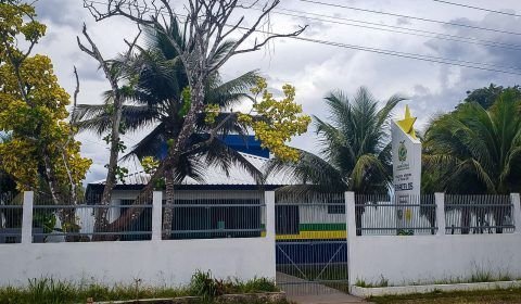 Em Barcelos, PC-AM prende homem por estupro de vulnerável contra bebê de 11 meses