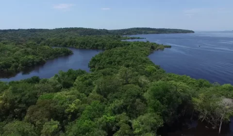 Expedição quer provar se o Rio Amazonas é o maior do mundo