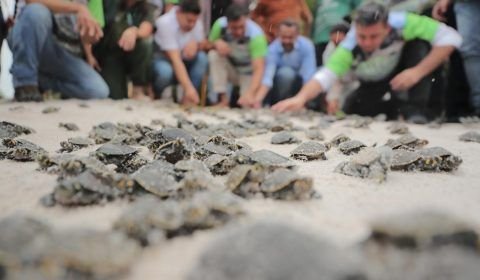 Wilson Lima autoriza pagamento do ‘Guardiões da Floresta’ para 6,4 mil famílias de unidades de conservação do Amazonas