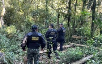 Policia Federal e IBAMA – No Combate ao Desmatamento, Arrendamento Clandestino e Comércio Ilegal de Xaxim