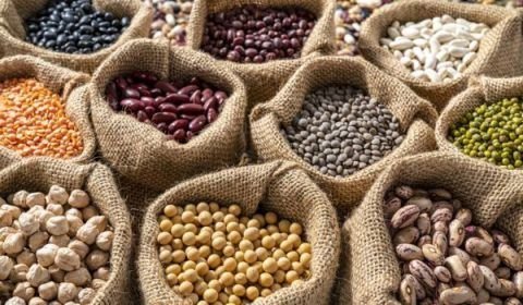 Por que as leguminosas podem ser a solução para muitos dos problemas do mundo