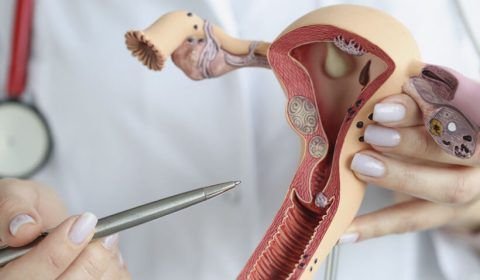 Amazonas registra taxa de câncer de colo do útero 4 vezes maior que São Paulo e Rio Grande do Sul