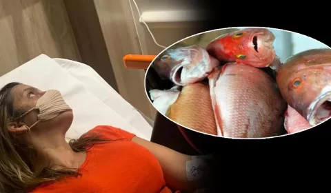 Aumento dos casos da doença da urina preta gera alerta no Amazonas