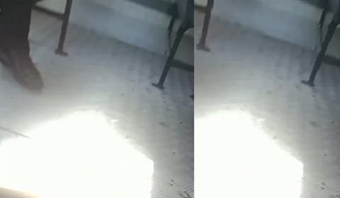 Dois homens assaltaram o ônibus da linha 444