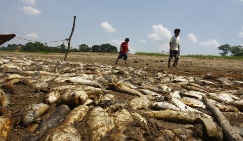 Amazonas tem 17 municípios em situação de emergência pela estiagem 