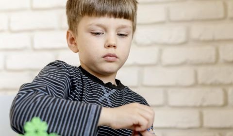 Estudo traz dados sobre o autismo na região Norte do Brasil