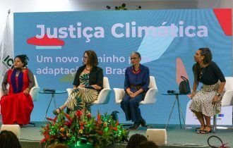 Mercado de carbono é tema central de encontro que debate agenda do agro brasileiro em evento da ONU