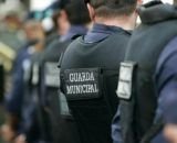 Ações da Guarda Municipal resultam na recuperação de celular, resgate de animal silvestre e apoio no controle de foco de incêndio