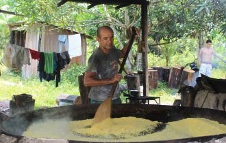 Ouro do interior: os desafios para extração da farinha amarela em Tefé 
