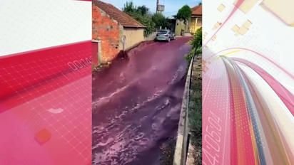 VÍDEO: 'rio' de vinho inunda ruas de cidade após depósito estourar