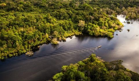 Deputados debatem exploração de petróleo na bacia da foz do rio Amazonas