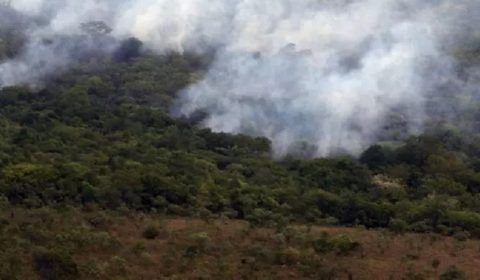 Mais de 17,3 milhões de hectares foram queimados em 2023 no país