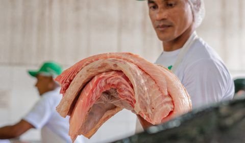 Feira do Pirarucu acontece nesta segunda-feira na sede da FAS