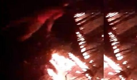Pessoas se desesperam após mata pegar fogo em Autazes 