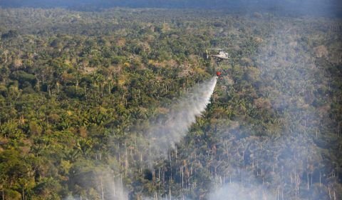 PF investiga incêndios criminosos no Pantanal