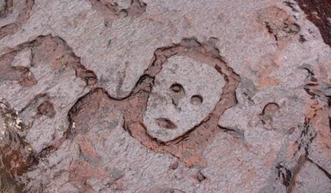 Homem pinta gravuras rupestres de mais de mil anos em Manaus e gera revolta