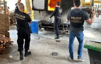 PF incinera mais de duas toneladas de drogas