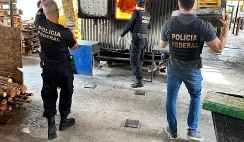 PF incinera mais de duas toneladas de drogas