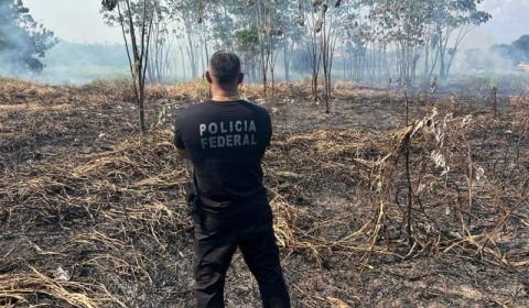 PF prende em flagrante homens por prática de queimada ilegal em Iranduba