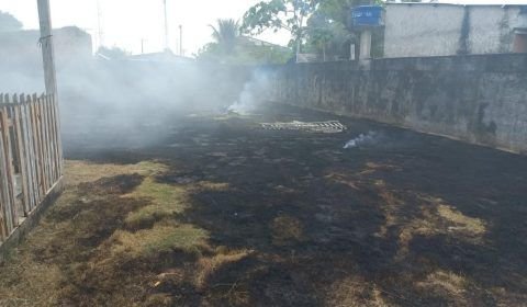 PMAM realiza prisões por crimes ambientais na Região Metropolitana de Manaus