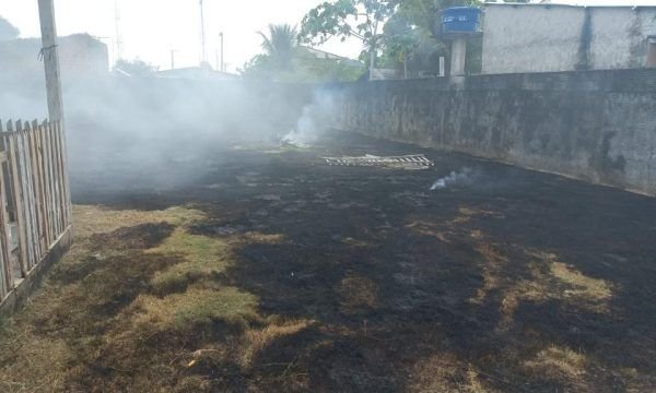 PMAM realiza prisões por crimes ambientais na Região Metropolitana de Manaus