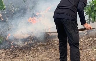 Polícia Civil do Amazonas atua em força-tarefa contra queimadas em Autazes