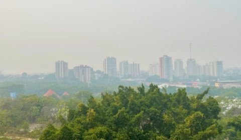 Queimadas e seca na Amazônia: Um desafio recorrente que exige ação imediata