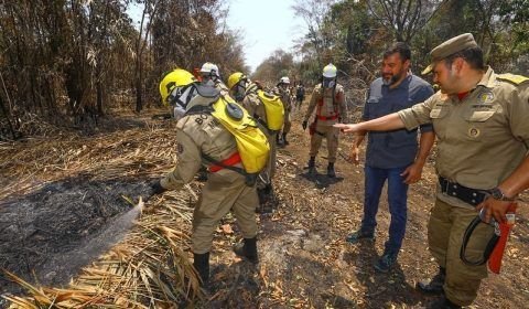 Wilson Lima apresenta balanço de ações contra queimadas, com quase 2 mil incêndios combatidos