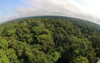 Amazonas registra queda de 40% no desmatamento em 2023, aponta Inpe