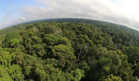 Período de chuvas no Amazonas só volta ao normal em fevereiro de 2024, aponta estudo