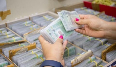 CNH Social 2023: Prazo de entrega da documentação no interior do Estado se encerra na quinta-feira (30/11)