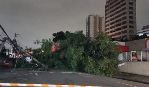 Comissão vai analisar convite para que diretor-presidente da Enel fale sobre apagão em São Paulo