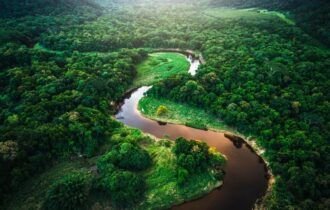 Desmatamento na Amazônia cai 61% de janeiro a outubro