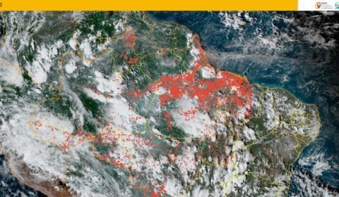 Imagens de satélites do Inpe mostram que queimadas do oeste do Pará e RMM são responsáveis por fumaça que atinge capital do Amazonas
