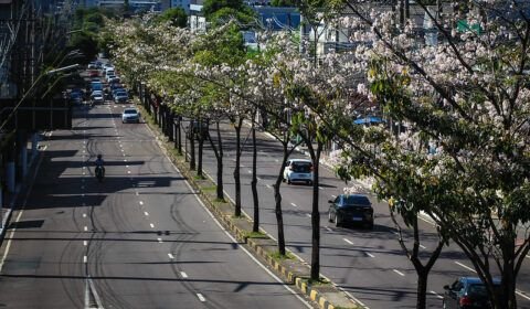 Manaus é escolhida para a implantação de projeto ambiental da ONU
