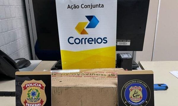 PF apreende maconha em encomenda
